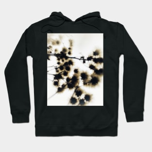 Where the Summer Ends Hoodie